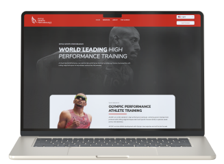 Blue Bull Branding Solutions LLC Client DSP website Mockup